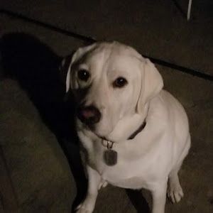 Paulacatti - Tiktok Profile Picture of Paulacatti (@paulariehm) on Tiktok