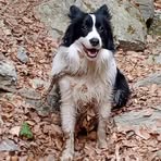 Profile Picture of Štěpánka Chadimová (@Štěpánka-Chadimová) on Facebook