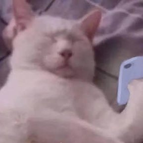 Profile Picture of Jiajun Zhang (@jiajunzhang9) on Twitter