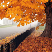 Profile Picture of D'laina Brown (@dlainabrown2562) on Youtube