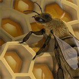 Profile Picture of Barry Thomson (@heymrbarry) on Twitter