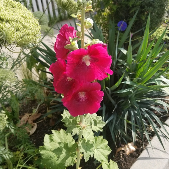 Profile Picture of Jayna Lindenmeyer (@jayna1969) on Poshmark