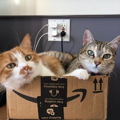 Profile Picture of Geoff Padoon Twitter