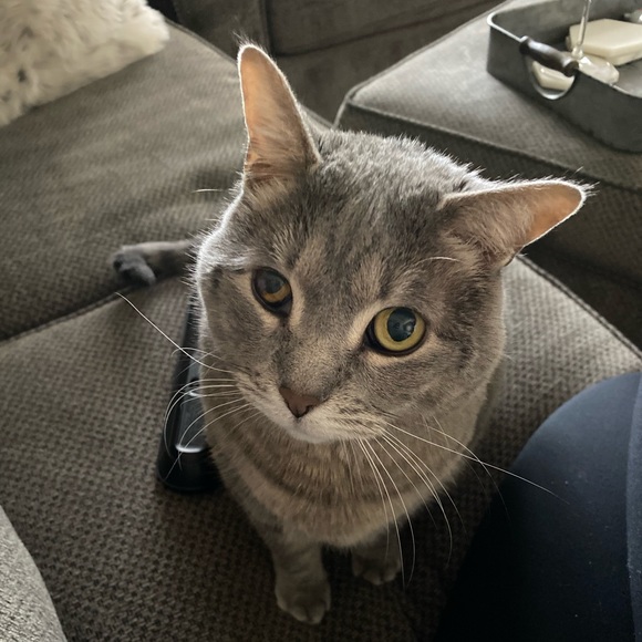 Profile Picture of Sarah Sladick (@sarah_sladick) on Poshmark