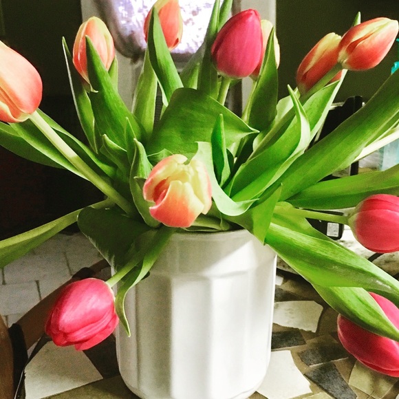 Profile Picture of Thuy Blankinchip (@tblankinchip) on Poshmark