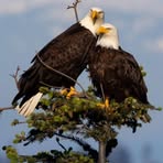 Profile Picture of Lenon Stuart Barnes (@Lenon-Stuart-Barnes) on Facebook