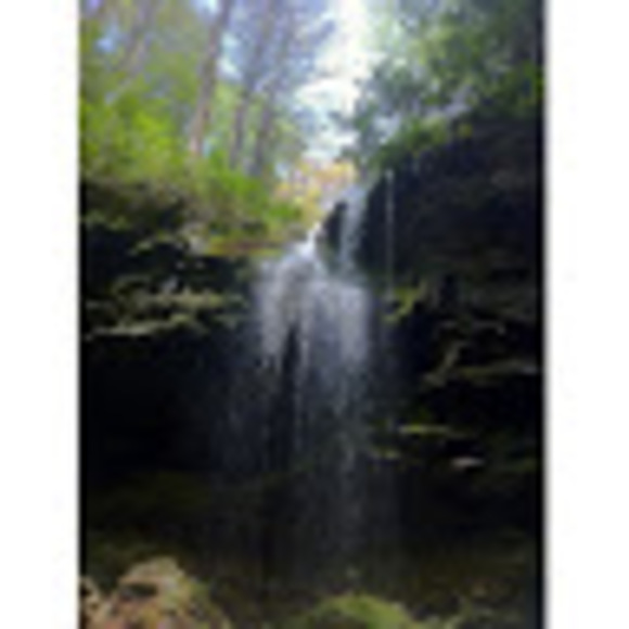 Profile Picture of Jay Brenneise (@jbrenneise) on Poshmark