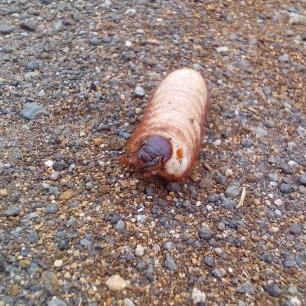 Ken Mckane - Twitter Profile Picture of Ken Mckane (@MckaneKen416) on Twitter