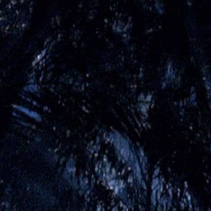 Craig Hengel - Tiktok Profile Picture of Craig Hengel (@craighengel) on Tiktok