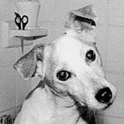 Profile Picture of Minoru Tabata (@asitabataba) on Twitter