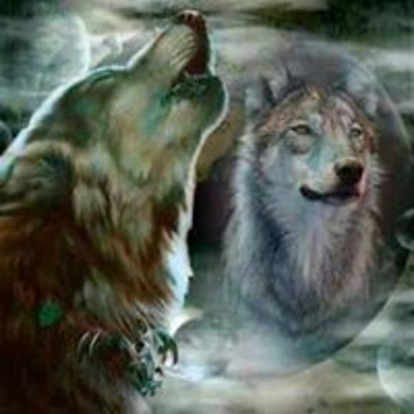 Profile Picture of Edward Morgan (@dodgeman2441) on Poshmark