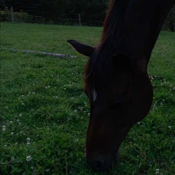 Lauren Breindel - Poshmark Profile Picture of Lauren Breindel (@lbreindel) on Poshmark