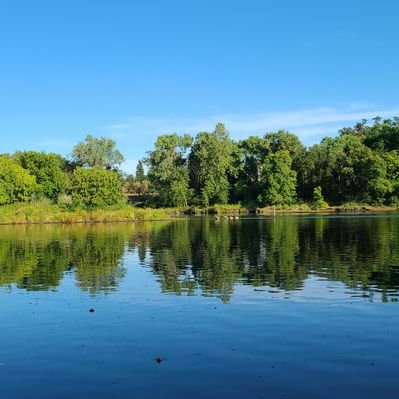 Profile Picture of Sarah Wade (@swade8158) on Twitter