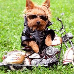 Profile Picture of Bryson Mcclure (@bryson_mcclure) on Twitter