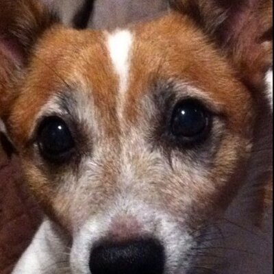 Profile Picture of Steve Barge (@Bargesj) on Twitter