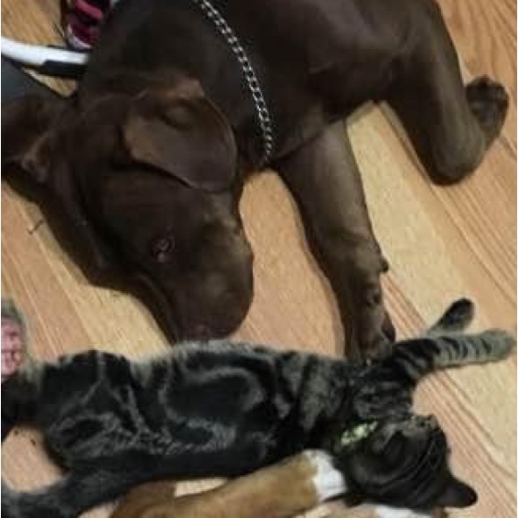 Profile Picture of Thomas Hopper (@thopper1989) on Poshmark