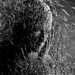 Profile Picture of Phil Lanceley (@phil lanceley) on Flickr