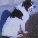 Profile Picture of Sandra Bridge (@sandra.bridge.79) on Facebook