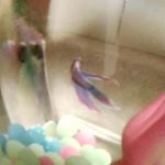 Profile Picture of Ivy Kelly (@ivykelly2830) on Instagram