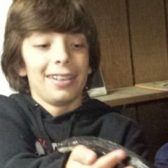 Profile Picture of Peter Rao (@RaoPeter) on Twitter