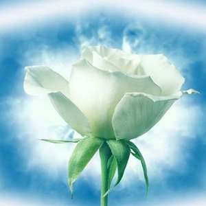 Profile Picture of Arshad Kamal (@226766736) on Myspace