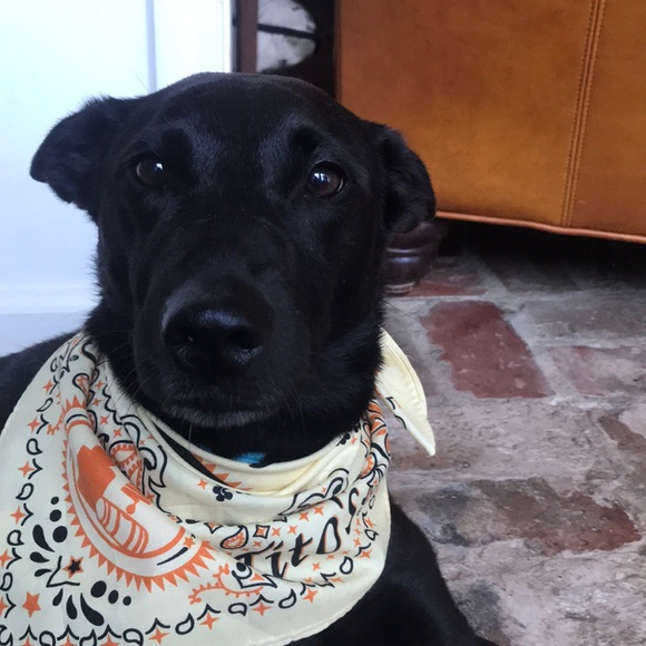 Profile Picture of Ann brett Strickland (@annbrett) on Poshmark