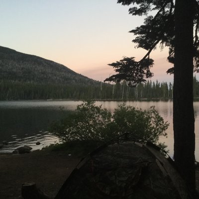 Brandon Gruber - Twitter Profile Picture of Brandon Gruber (@BrandonGruber7) on Twitter