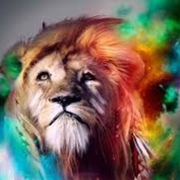 Profile Picture of Matthew Czajkowski (@matthew-czajkowski-2) on Quora