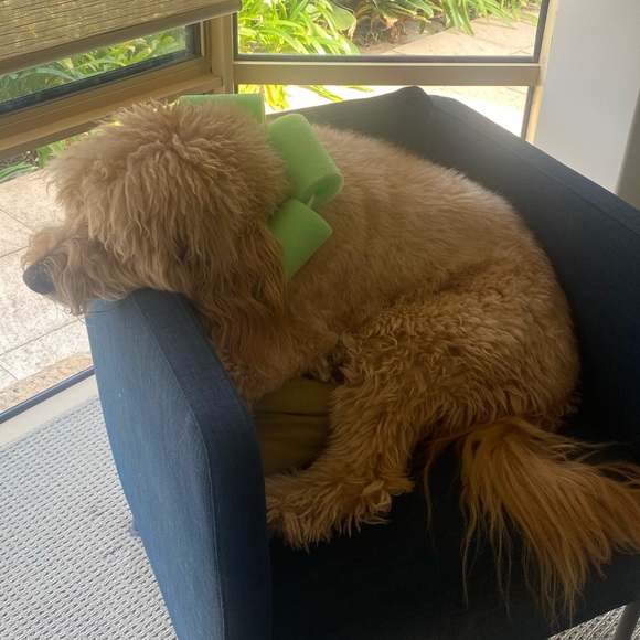 Profile Picture of Kim George (@kimgeorge247) on Poshmark