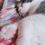 Profile Picture of 是你的小北鼻啊 (@chenjiayi8040) on Instagram