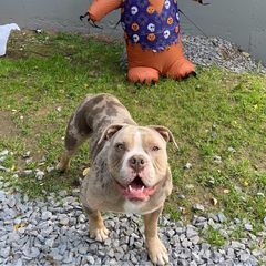 Profile Picture of Joseph Brunell (@joseph.brunell) on Tiktok