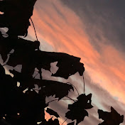 Profile Picture of Claudia Clark (@claudiaclark4574) on Youtube