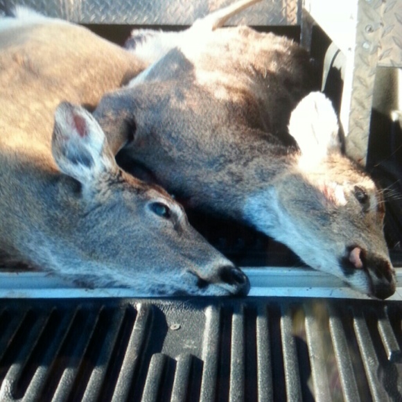 Profile Picture of Bob Johns (@deerthug) on Poshmark