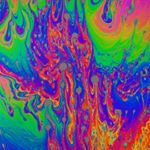 Profile Picture of Kyle Mauer (@blazed4shiberdee) on Instagram