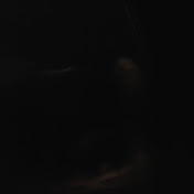 Profile Picture of Rick Hendricks Hendricks (@rickhendrickshendricks6788) on Youtube