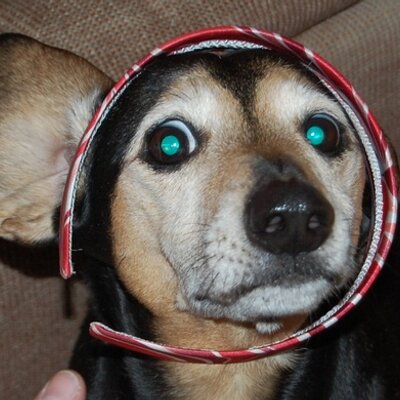 Profile Picture of Amanda K Warner (@akw3) on Twitter