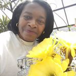 Profile Picture of Gloria Colvin (@gcolvin15833) on Instagram