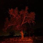 Profile Picture of Scott Turnbow (@scottyd777) on Instagram