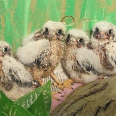 Profile Picture of Jim Moeller (@jimmoeller1) on Twitter