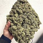 Profile Picture of steve_nkushman (@steve_nkushman) on Instagram