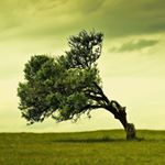 Profile Picture of Bob Heaton (@bobheaton) on Instagram