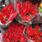 Profile Picture of Trucks Guy (@Trucks-Guy) on Facebook