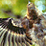 Profile Picture of Andrea Plummer (@Yeab3e) on Flickr