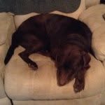 Profile Picture of John Simmermon (@johnsimmermon) on Instagram