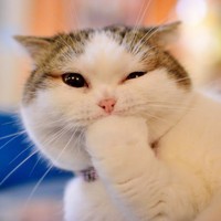 Profile Picture of Fabiola Cuevas (@fabiola-cuevas-2) on Quora