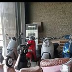 Profile Picture of Raja Perling Gorontalo (@Raja-Perling-Gorontalo) on Facebook