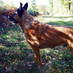 Profile Picture of Robert De Reus (@dereus46) on Twitter