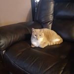 Profile Picture of Luke Douglas David Hoffman (@crabbylu) on Instagram