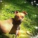 Profile Picture of Charles Shapley (@charles.shapley.359) on Facebook