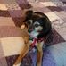 Profile Picture of Barbara M Carthy (@barbara.mcarthy.9) on Facebook